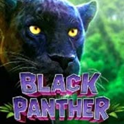 BLACK PANTHER